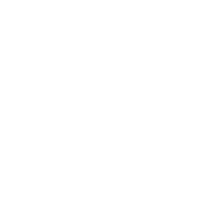 BREMBO-300x300-1