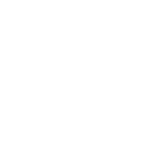 logo brinke