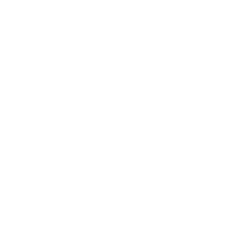 logo chiesi