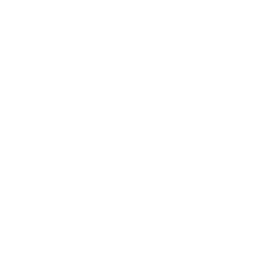 logo drluis