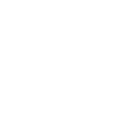 logo mei lenti