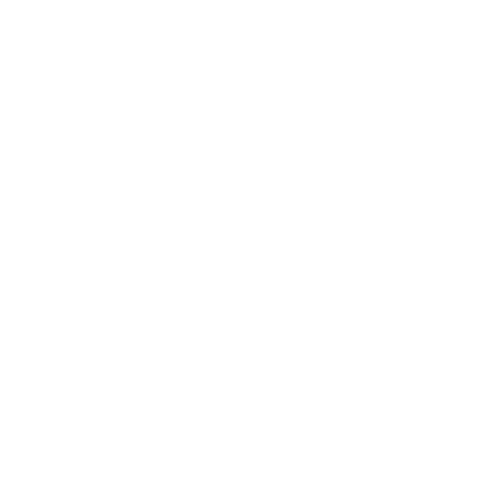 logo rimor 2