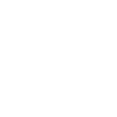 logo rulmeca